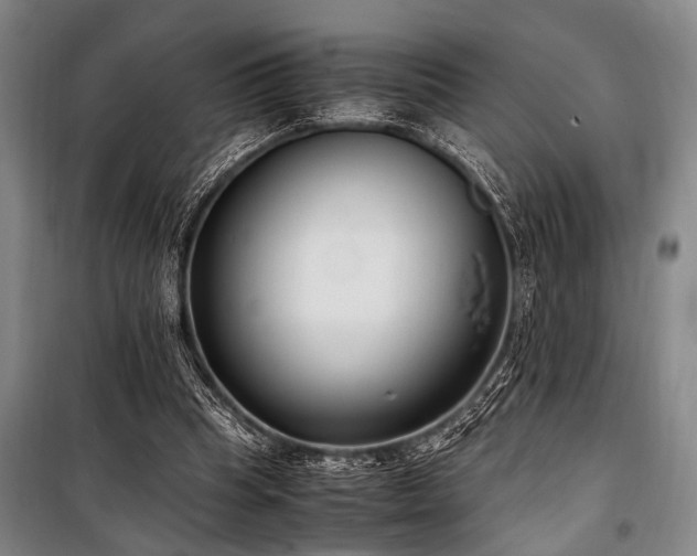 X0000101190345200806271321