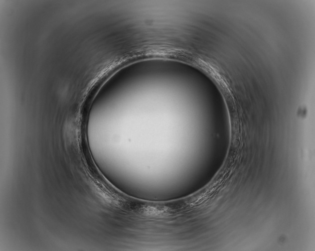 X0000101190346200806271321