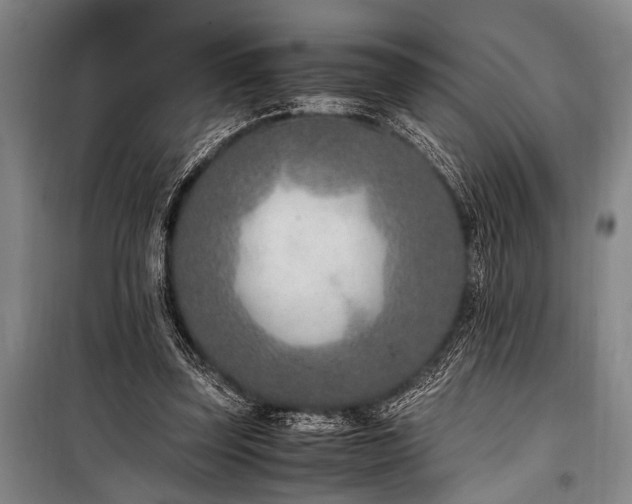 X0000101190347200806271321