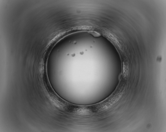 X0000101190348200806271321