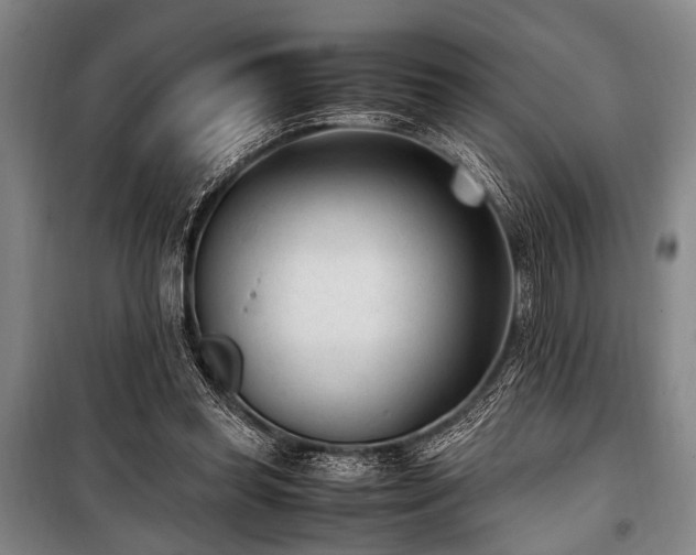 X0000101190349200806271321