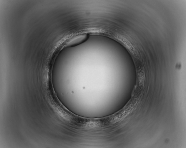 X0000101190350200806271321