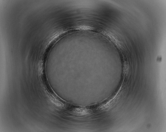 X0000101190351200806271321