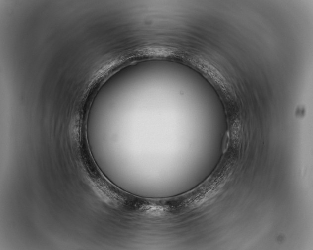 X0000101190352200806271321