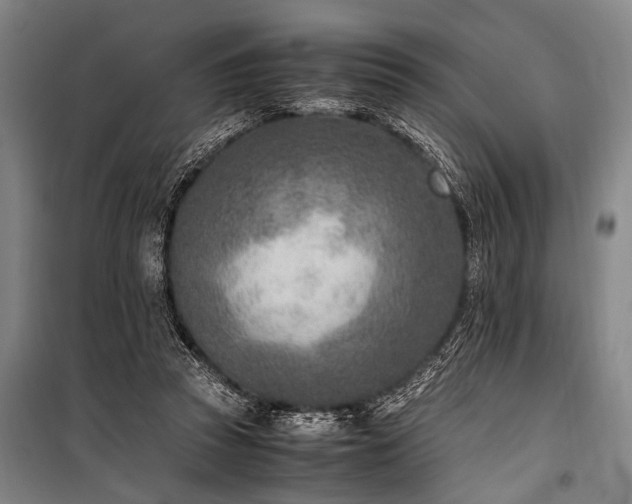 X0000101190353200806271321