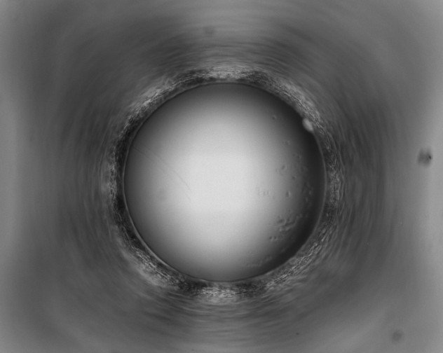 X0000101190354200806271321
