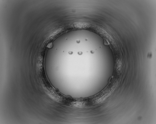 X0000101190356200806271321