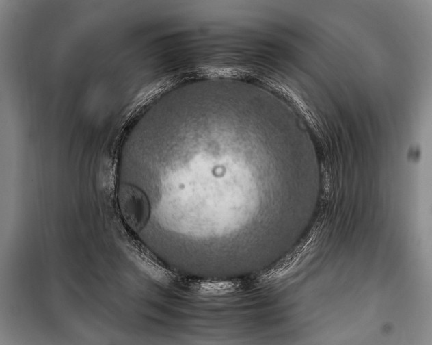X0000101190357200806271321