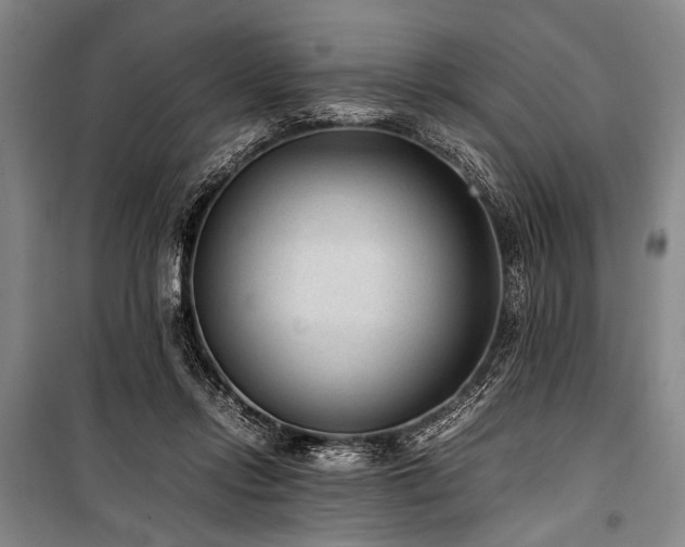 X0000101190358200806271321