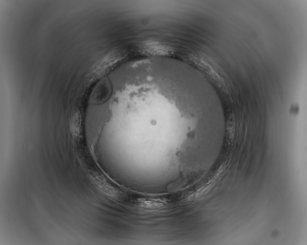 X0000101190359200806271321