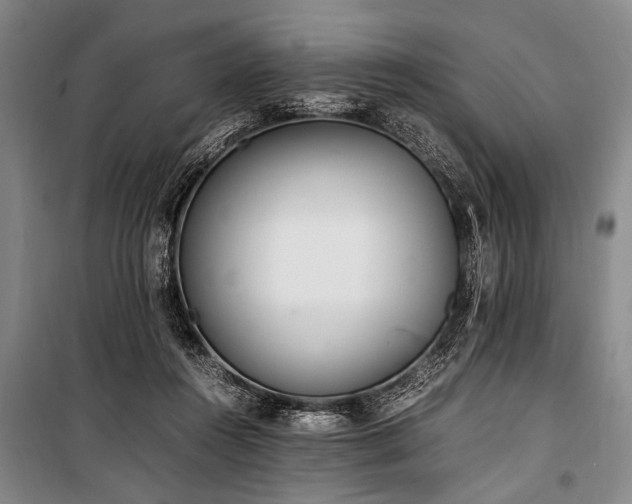 X0000101190360200806271321