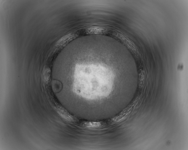 X0000101190361200806271321
