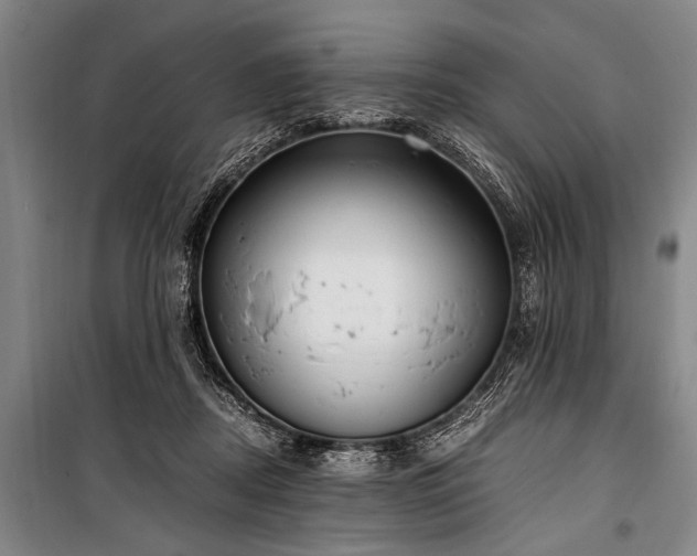 X0000101190362200806271321