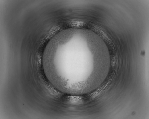 X0000101190363200806271321