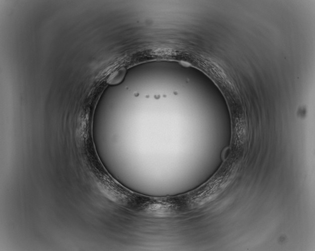 X0000101190364200806271321