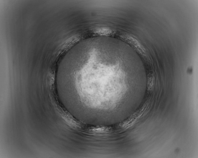 X0000101190365200806271321