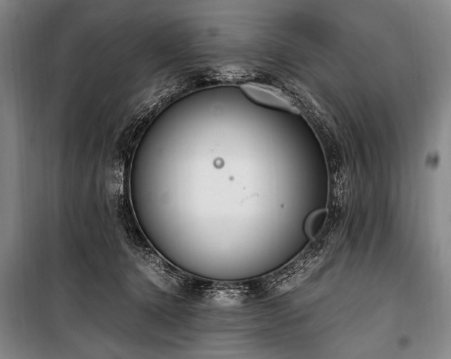 X0000101190368200806271321