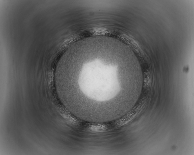 X0000101190369200806271321