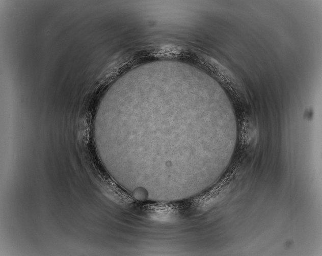 X0000101190370200806271321