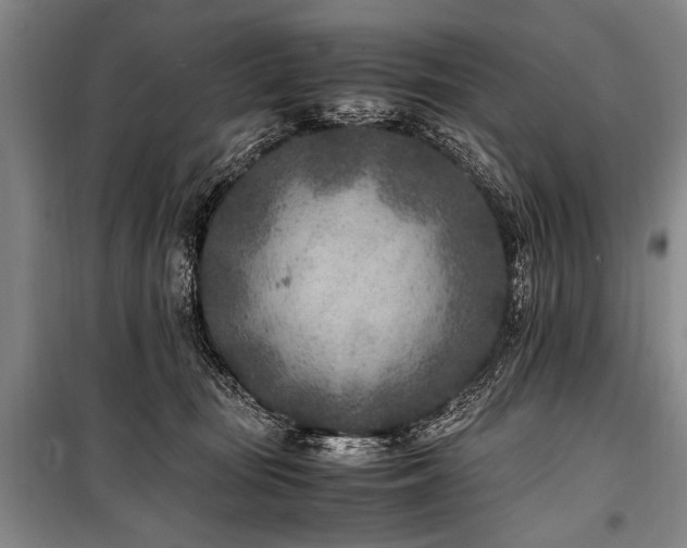 X0000101190371200806271321
