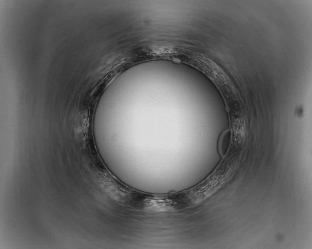 X0000101190372200806271321