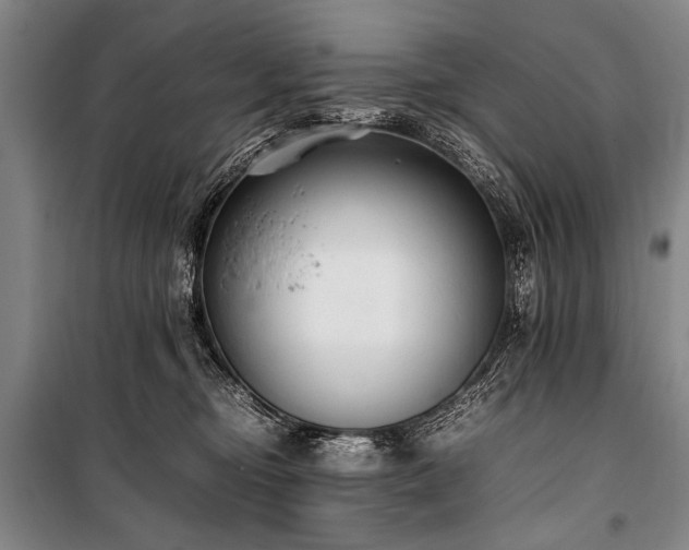 X0000101190374200806271321