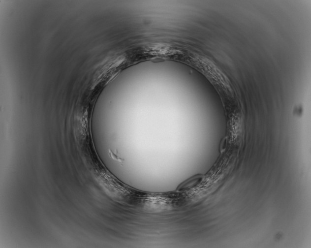 X0000101190376200806271321