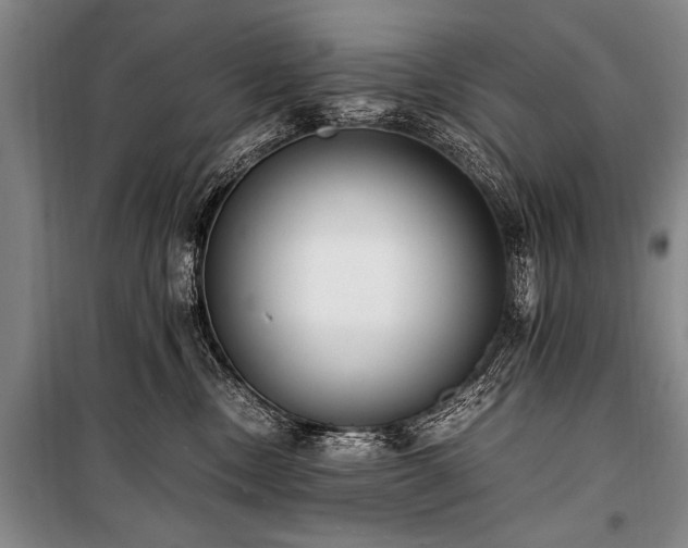 X0000101190378200806271322