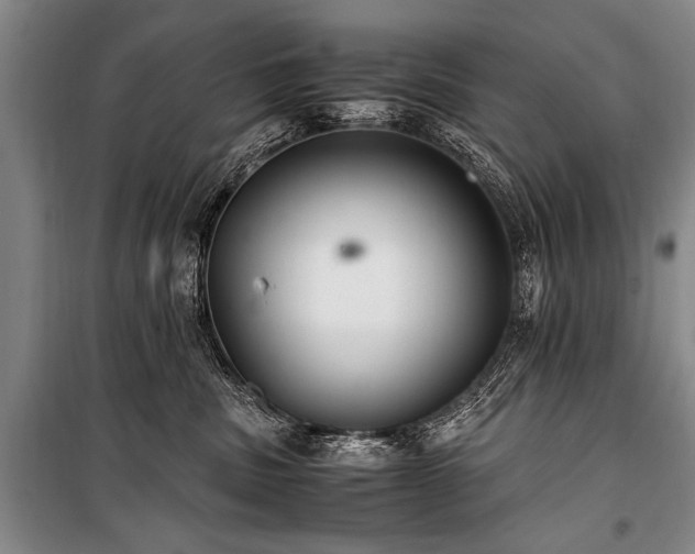 X0000101190379200806271322