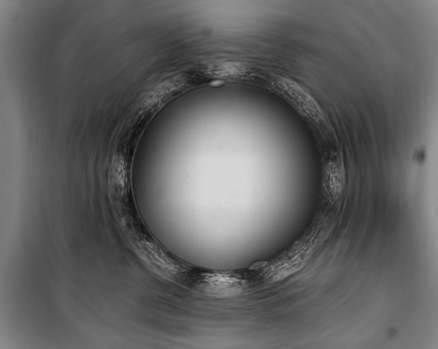 X0000101190380200806271322