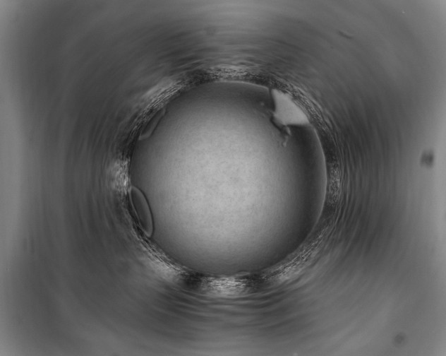 X0000101190383200806271322