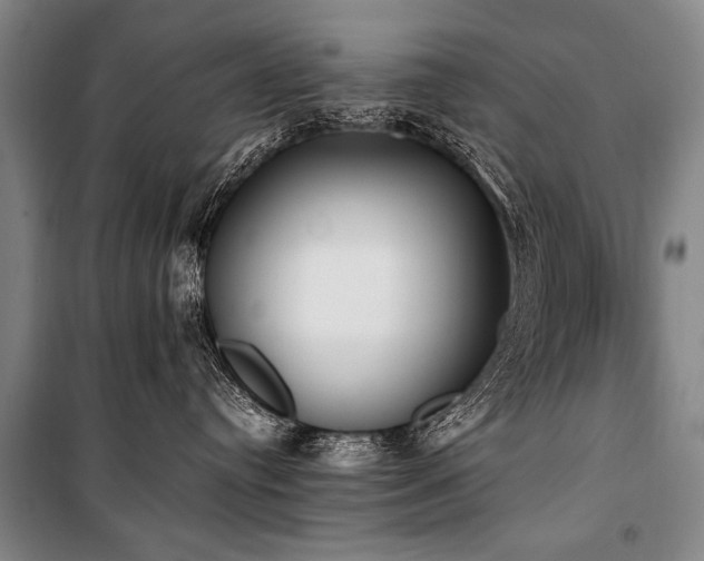 X0000101190384200806271322