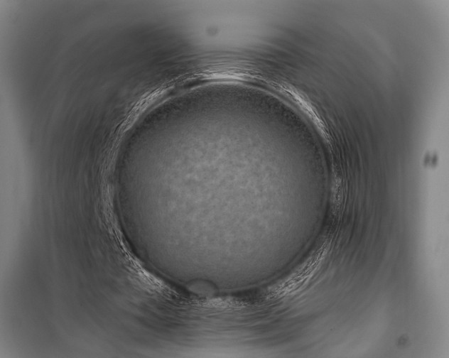 X0000101190385200806271321