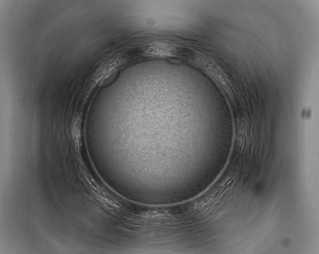 X0000101190386200806271321