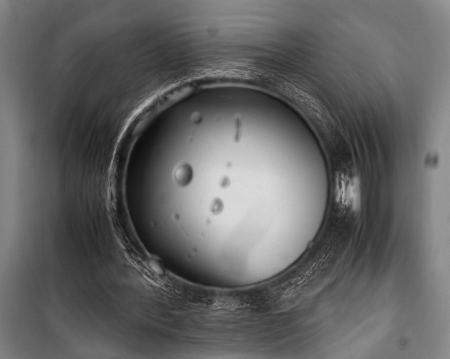 X0000101190388200806271321