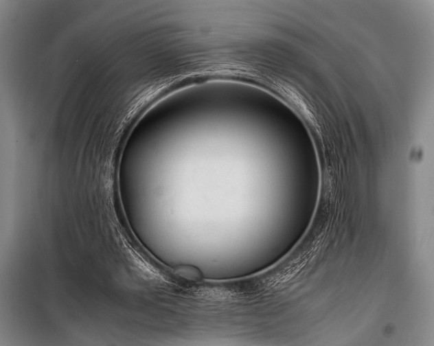 X0000101190389200806271321