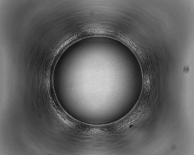 X0000101190390200806271321