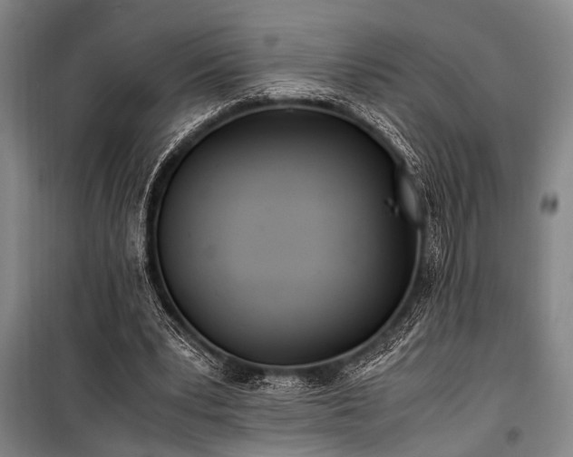 X0000101190391200806271321