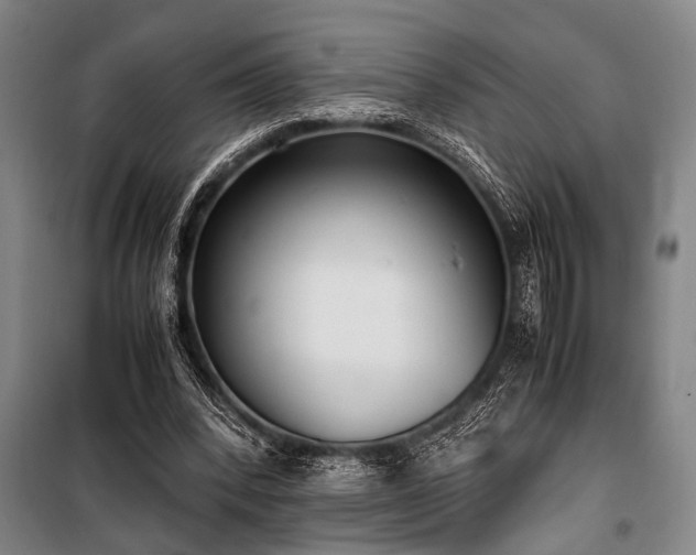 X0000101190392200806271321