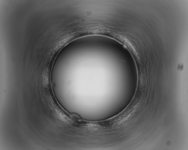 X0000101190393200806271321
