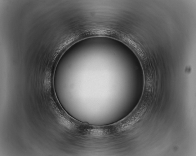 X0000101190394200806271321