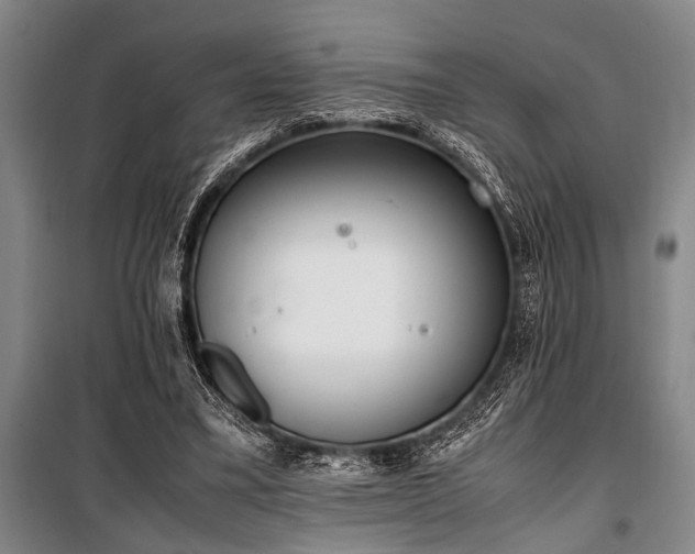 X0000101190395200806271321