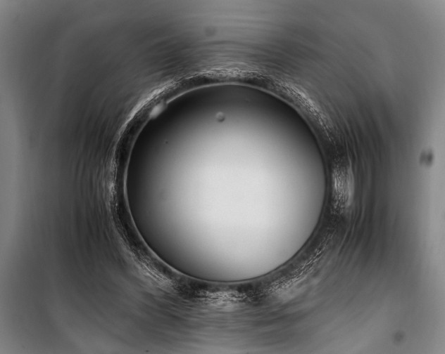 X0000101190396200806271321