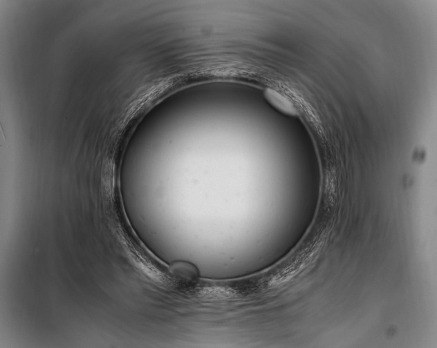 X0000101190397200806271321