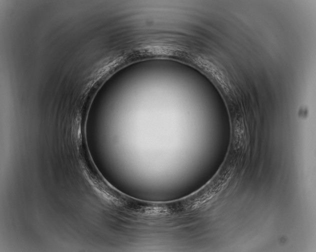 X0000101190398200806271321