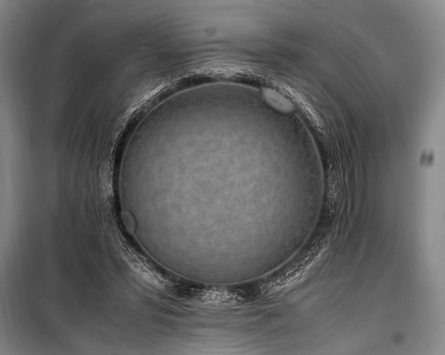 X0000101190399200806271321