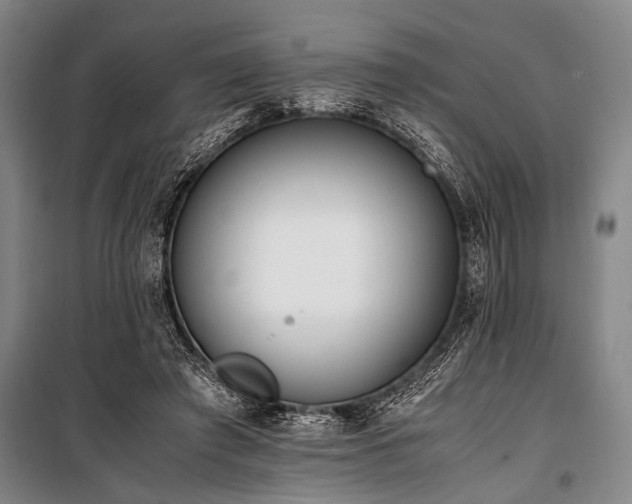 X0000101190401200806271321