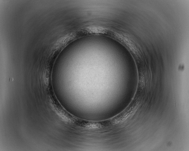 X0000101190402200806271321