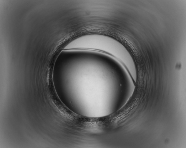 X0000101190404200806271321