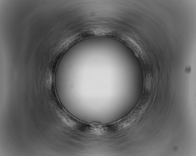 X0000101190405200806271320